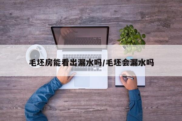 毛坯房能看出漏水吗/毛坯会漏水吗