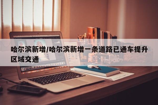 哈尔滨新增/哈尔滨新增一条道路已通车提升区域交通