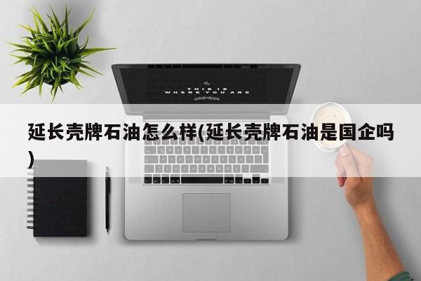 延长壳牌石油怎么样(延长壳牌石油是国企吗)
