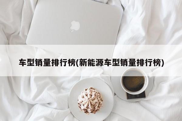 车型销量排行榜(新能源车型销量排行榜)
