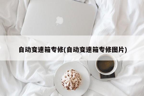 自动变速箱专修(自动变速箱专修图片)