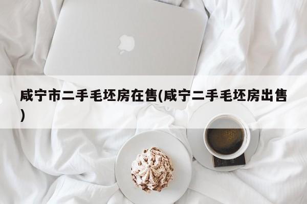 咸宁市二手毛坯房在售(咸宁二手毛坯房出售)