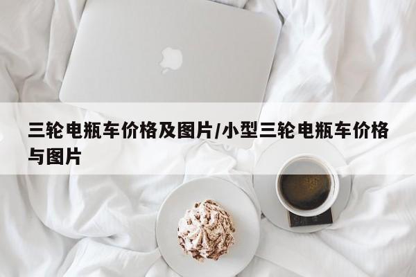 三轮电瓶车价格及图片/小型三轮电瓶车价格与图片