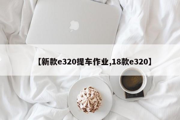 【新款e320提车作业,18款e320】