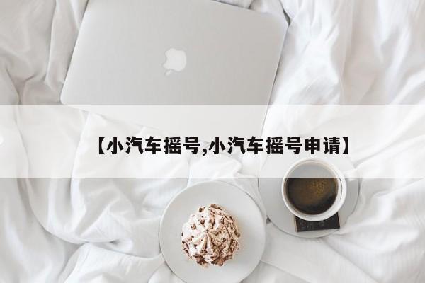【小汽车摇号,小汽车摇号申请】