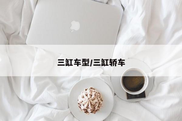 三缸车型/三缸轿车