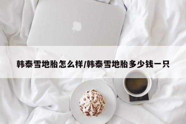 韩泰雪地胎怎么样/韩泰雪地胎多少钱一只