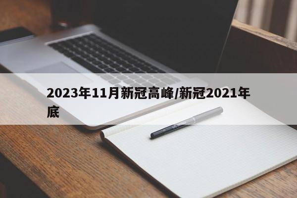 2023年11月新冠高峰/新冠2021年底