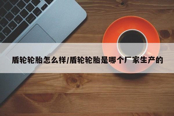 盾轮轮胎怎么样/盾轮轮胎是哪个厂家生产的