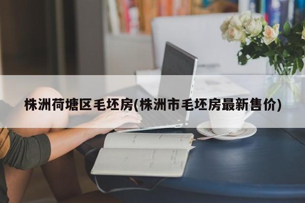 株洲荷塘区毛坯房(株洲市毛坯房最新售价)