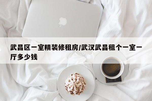 武昌区一室精装修租房/武汉武昌租个一室一厅多少钱