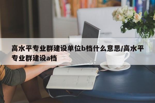 高水平专业群建设单位b档什么意思/高水平专业群建设a档