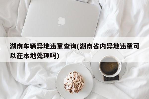 湖南车辆异地违章查询(湖南省内异地违章可以在本地处理吗)