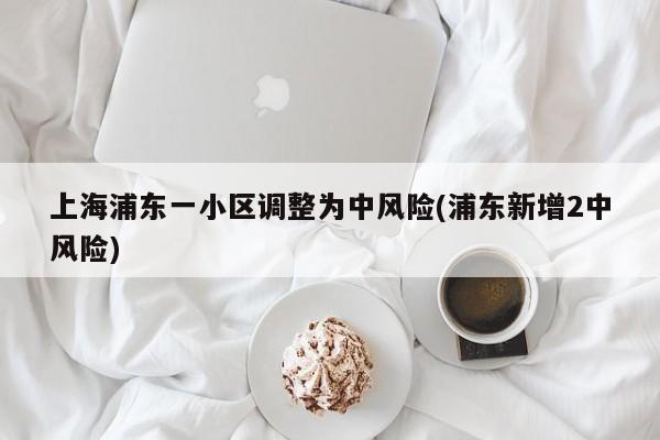 上海浦东一小区调整为中风险(浦东新增2中风险)
