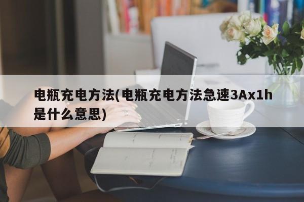 电瓶充电方法(电瓶充电方法急速3Ax1h是什么意思)