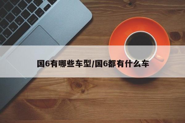 国6有哪些车型/国6都有什么车