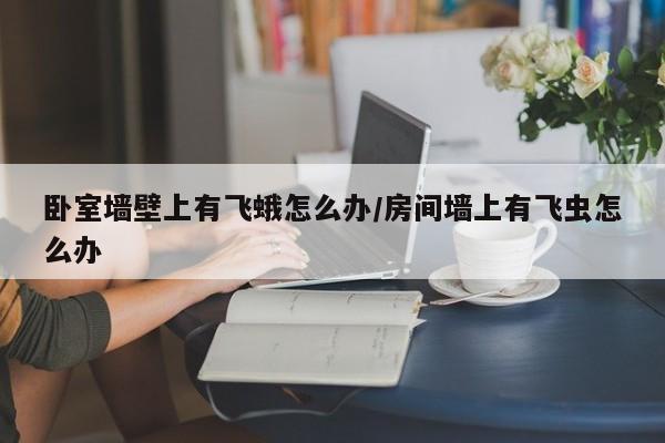卧室墙壁上有飞蛾怎么办/房间墙上有飞虫怎么办