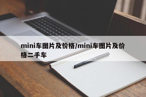 mini车图片及价格/mini车图片及价格二手车