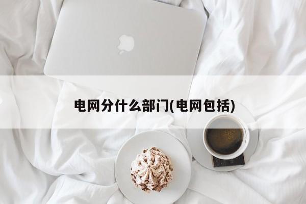 电网分什么部门(电网包括)