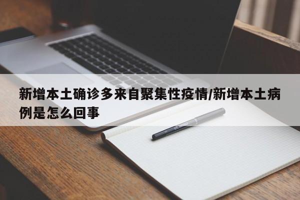 新增本土确诊多来自聚集性疫情/新增本土病例是怎么回事